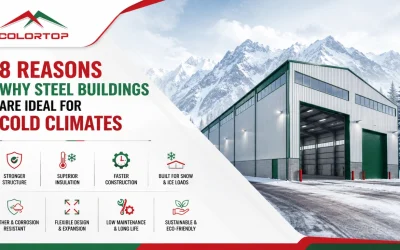 8 Reasons Why Steel Buildings Are Ideal for Cold Climates