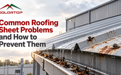 Common Roofing Sheet Problems and How to Prevent Them
